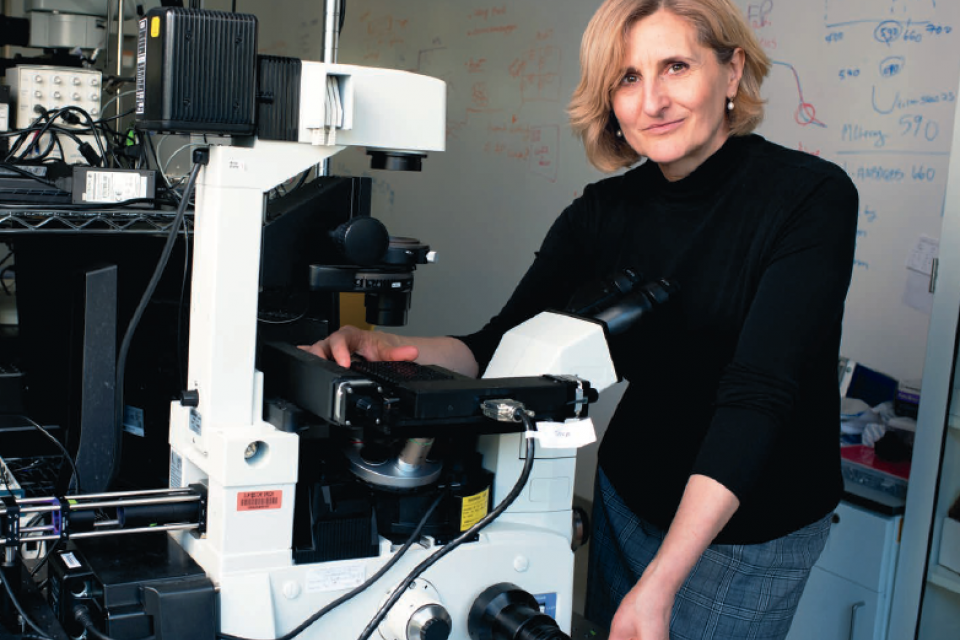 Professor Emilia Entcheva in her lab